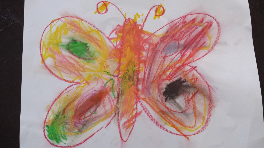 oil pastel drawings of butterfly