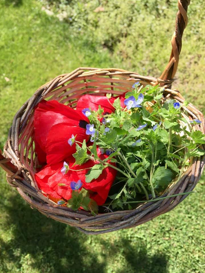  flower rainbow craft