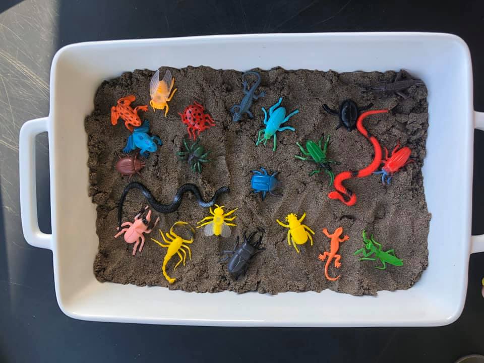 bugs in dirt toddler spring activities 