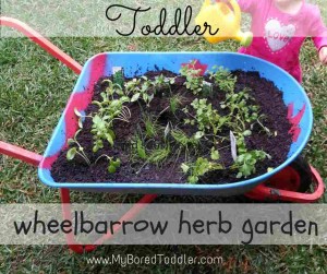 gardening with kids wheelbarrow herb garden