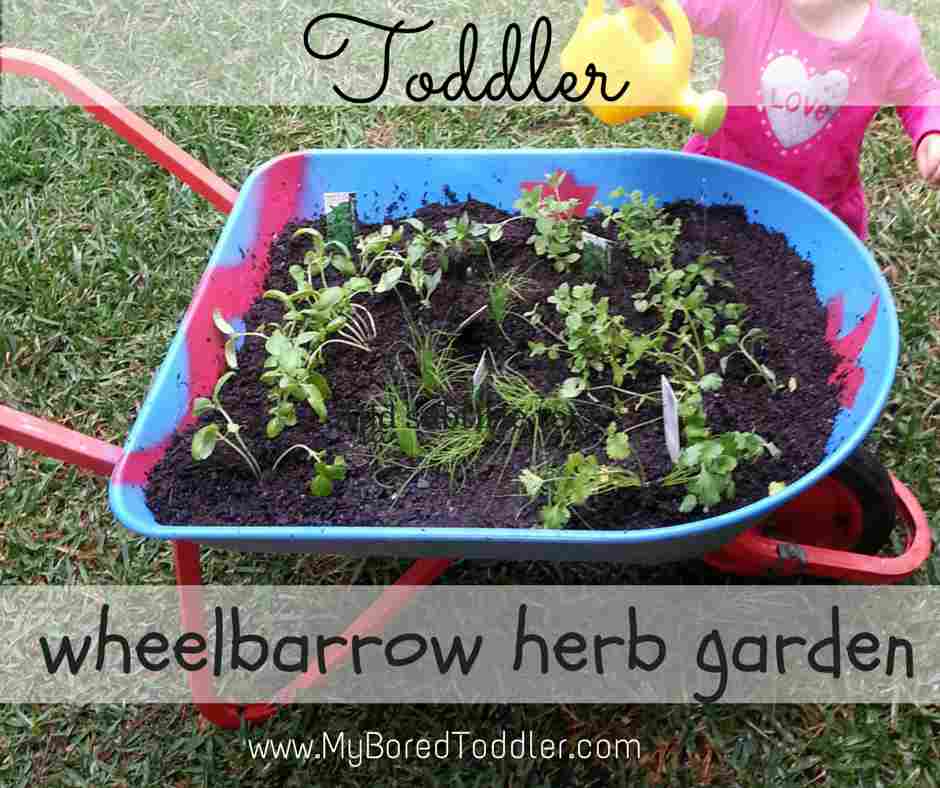 Gardening with kids - Wheelbarrow herb garden