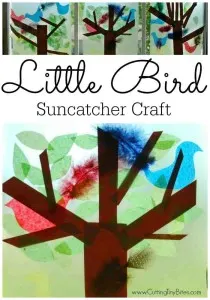LittleBirdSuncatcher