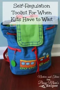 self regulation tool kit