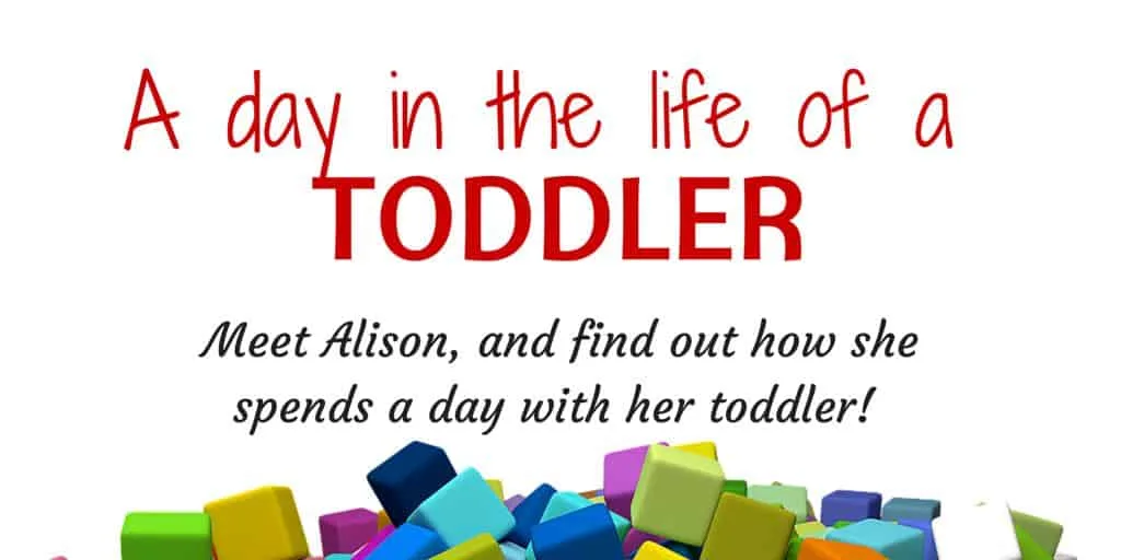 A day in the life of a toddler Alison