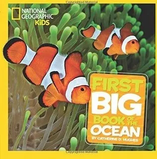 little big book of the ocean underwater books for toddlers 