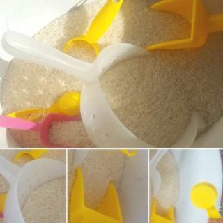 simple-rice-sensory-bin-1-320x320