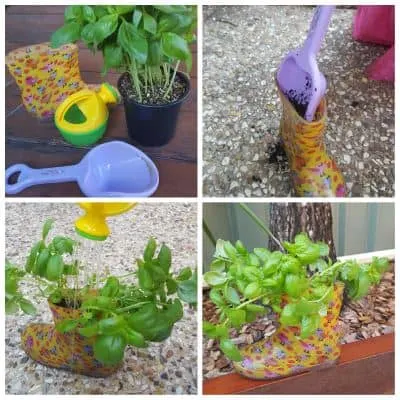 gum boot herb garden for kids