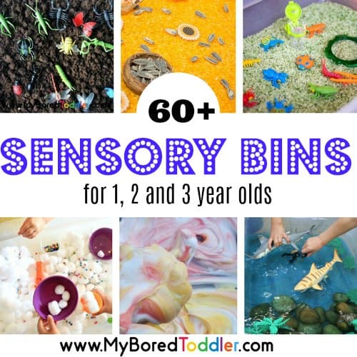 Sensory Bins for Toddlers