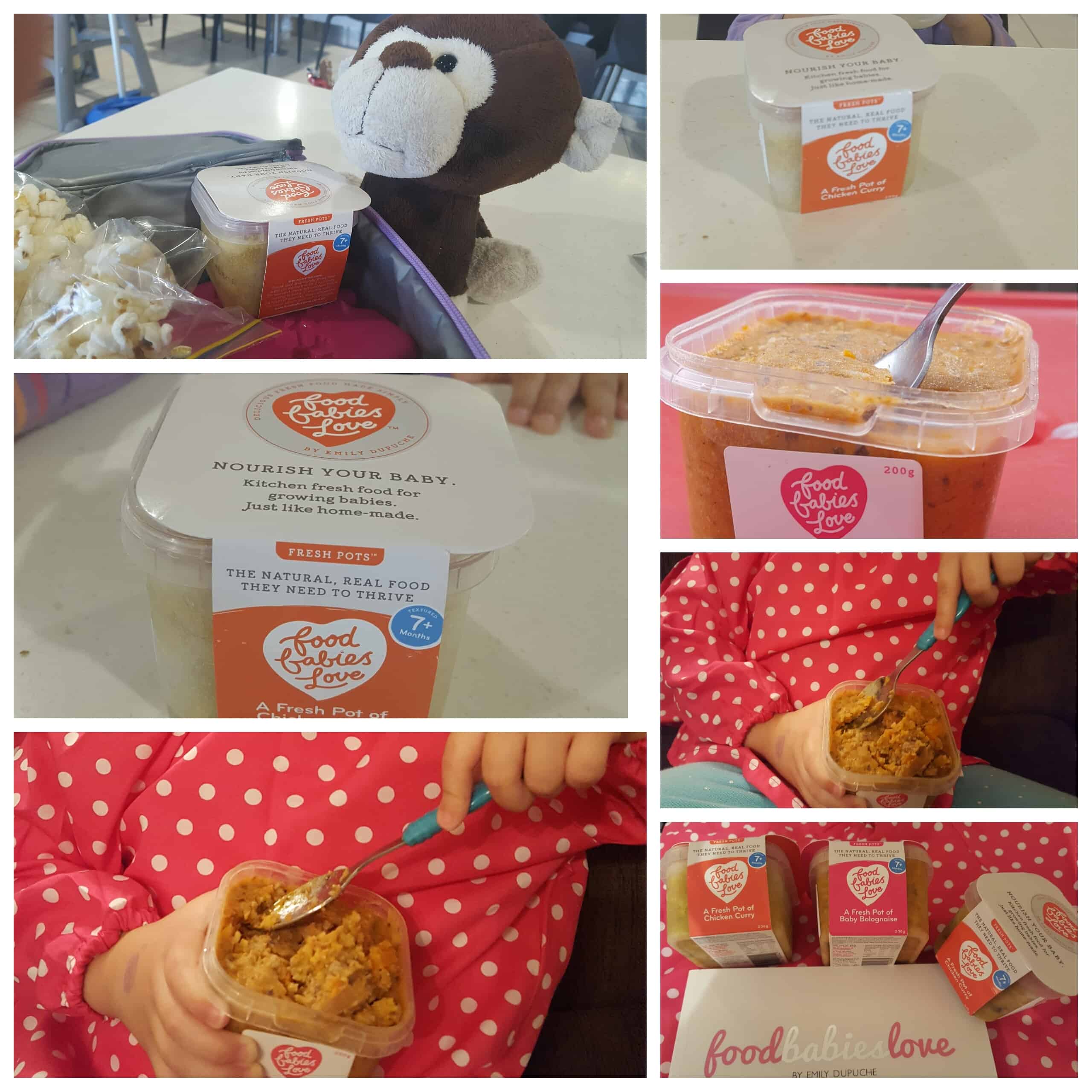 fresh pots toddler food review