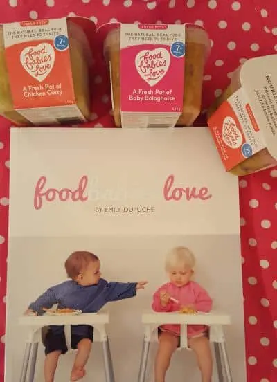 fresh pots toddler food review image 1