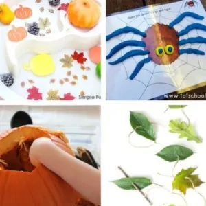 autumn and fall sensory play for toddlers image 12
