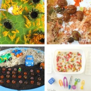 autumn and fall sensory play for toddlers image 13