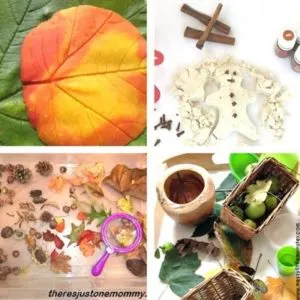 autumn and fall sensory play for toddlers image 7