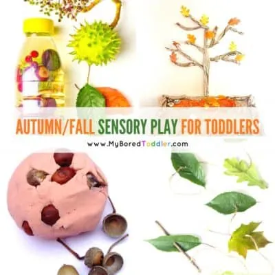 autumn and fall sensory play for toddlers instagram
