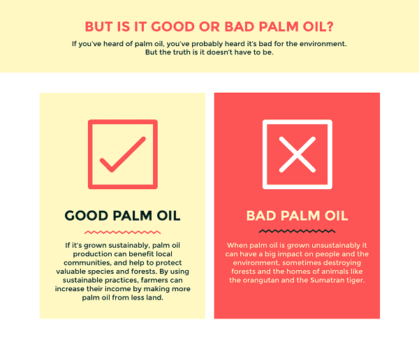 good-v-bad-palm-oil