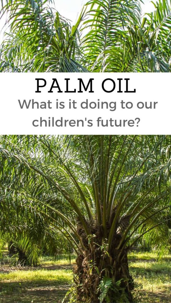 palm-oil-good-vs-bad-pinterest