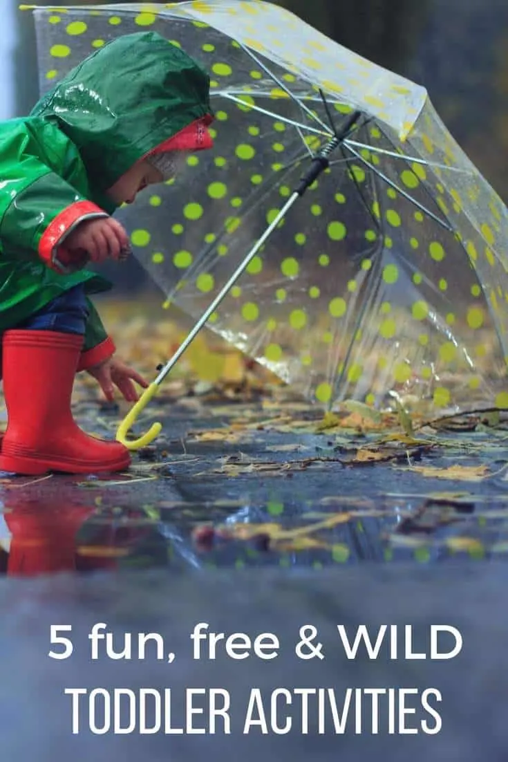 5 fun free & wild toddler activities pinterest