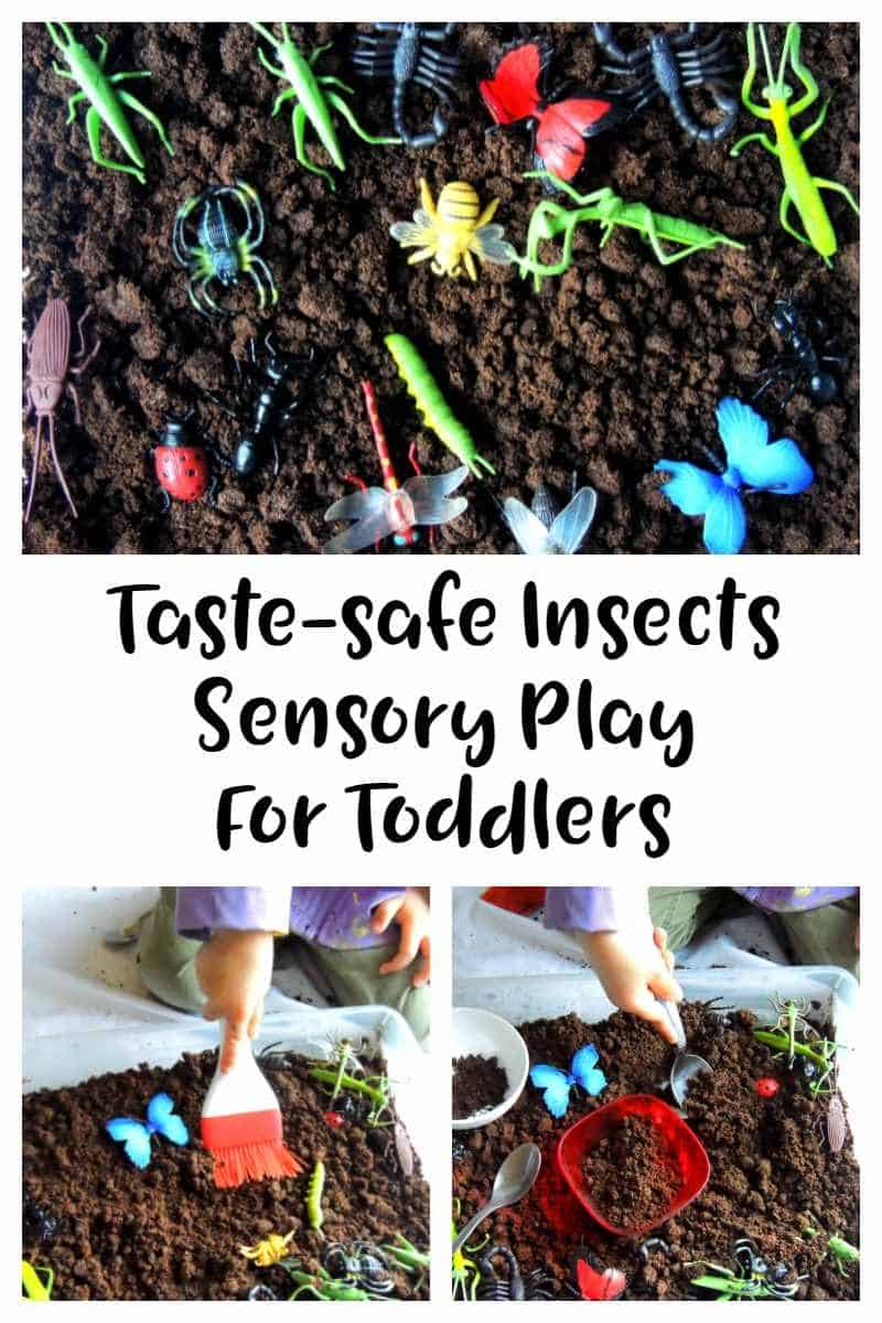 Insect sensory bin for toddlers taste safe. A fun sensory play activity great for toddlers and preschoolers. Sensory bins, sensory play, tuff tray play. Toddler Activities, toddler activity