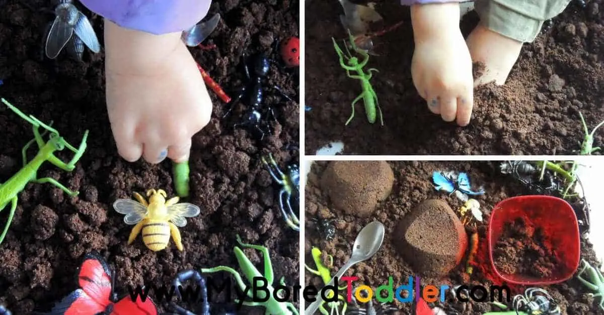 Insect sensory bin for toddlers taste safe sensory play idea. A fun toddler activity involving sensory play. A great tuff tray activity.