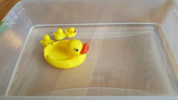 3 little ducklings water play 