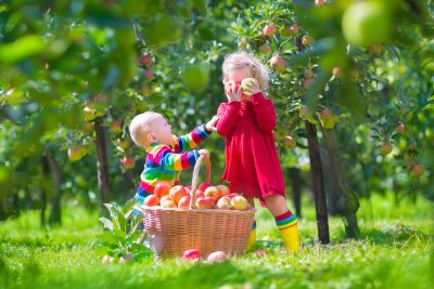 apple painting to ten red apples book 