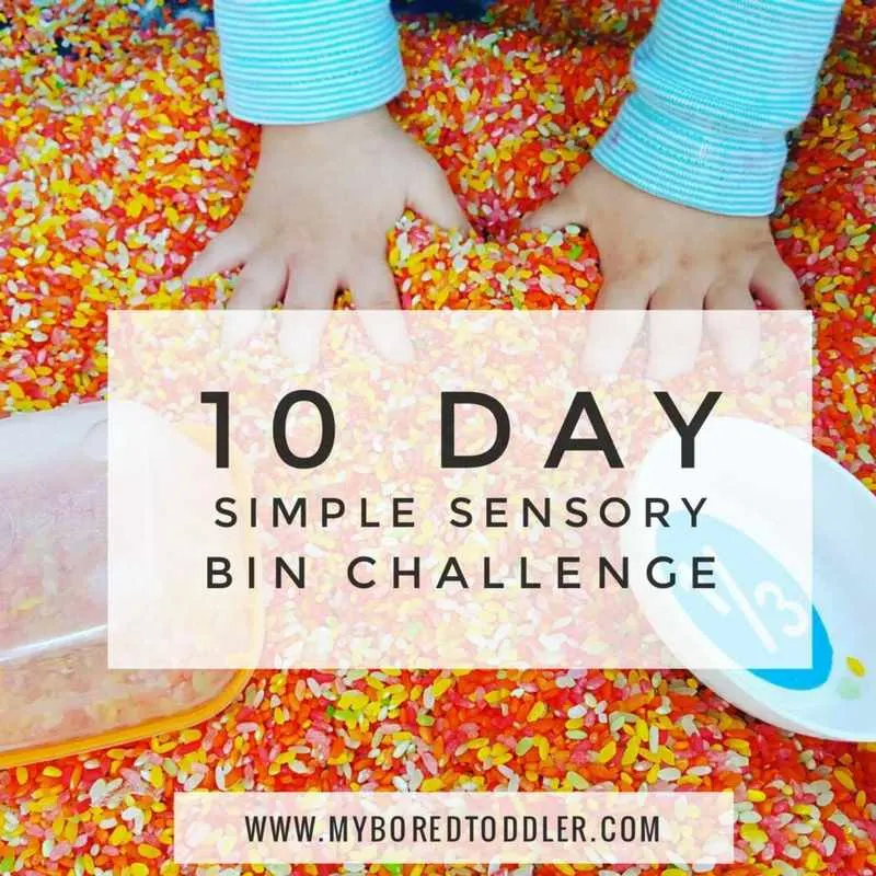 SIMPLE SENSORY BIN CHALLENGE