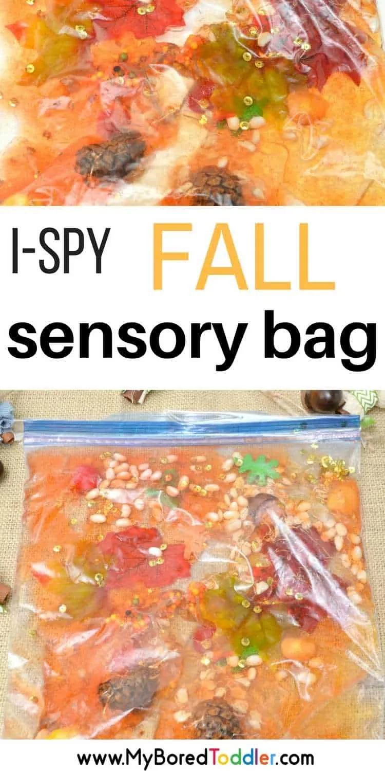 https://myboredtoddler.com/wp-content/uploads/2017/10/Toddler-Fall-Sensory-Bag-Pinterest.jpg.webp