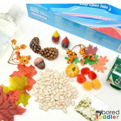 Toddler Fall Sensory bag supplies