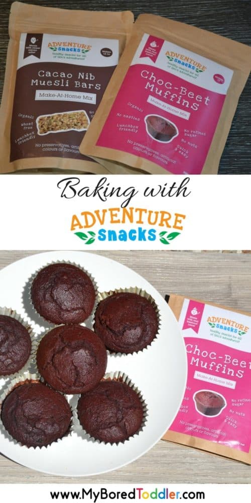 Adventure Snacks Review pinterest