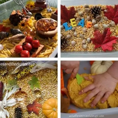 autumn fall sensory bins for toddlers 2 and 3 year olds 2