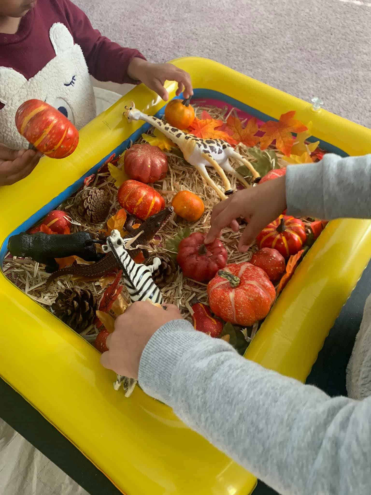 Sandy - fall sensory bin - My Bored Toddler