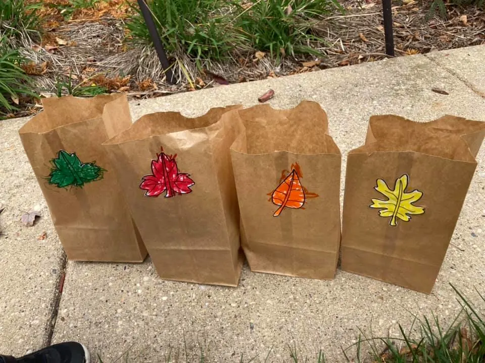 leaf sorting toddler Fall activities 