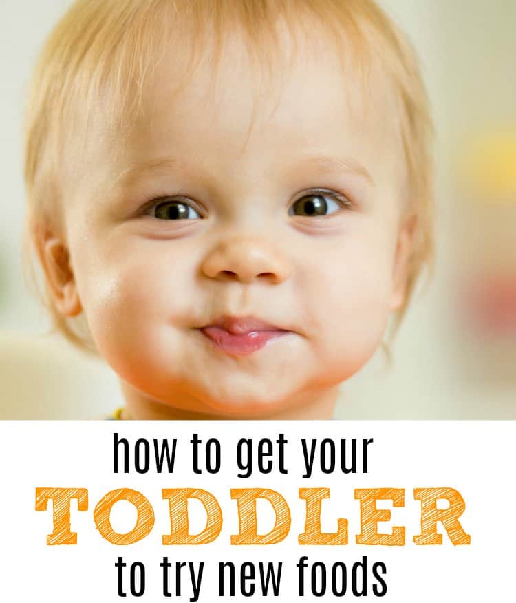 How to get your toddler to try new foods - My Bored Toddler