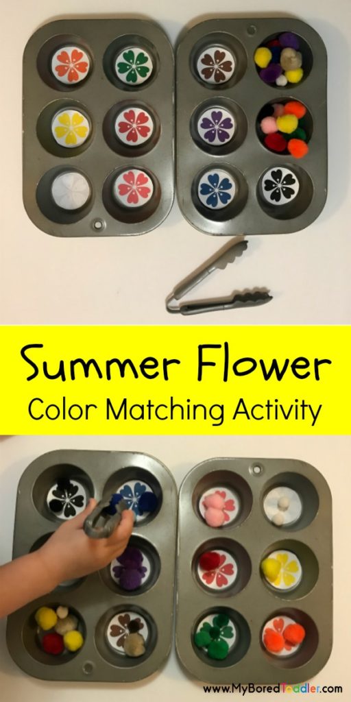 summer flower color matching activity