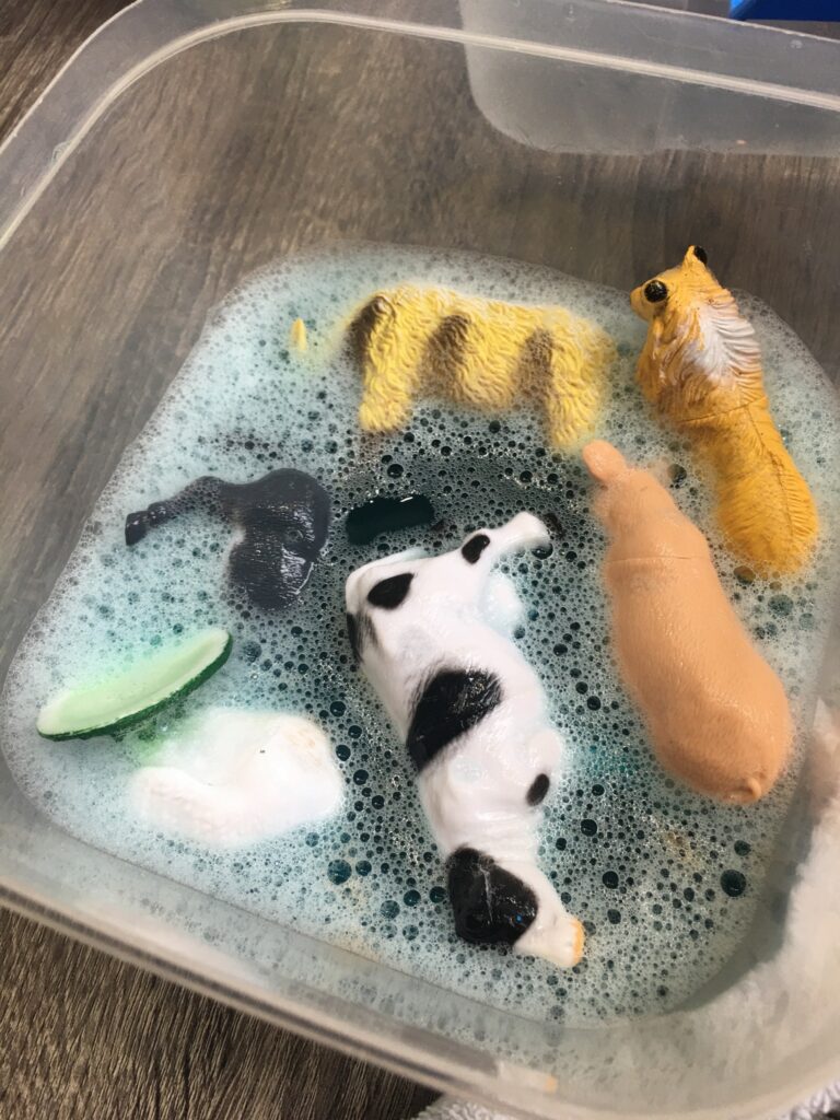 washing the farm animals 