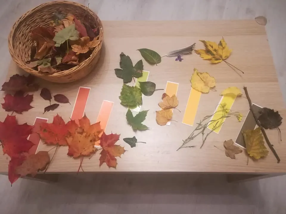 color sorting with leaves toddler activity idea 