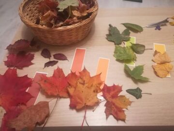 Hiba matching the leaf colors - My Bored Toddler