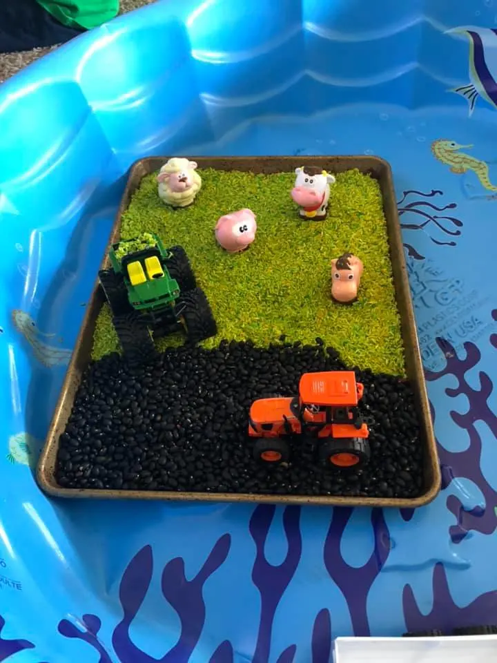 farm sensory bin for toddlers 