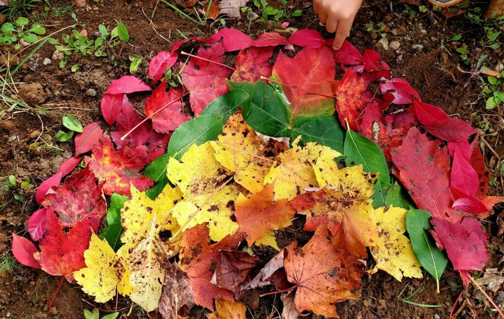 Make a leaf rainbow 