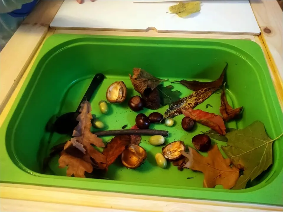 leaves sensory bin for toddlers 