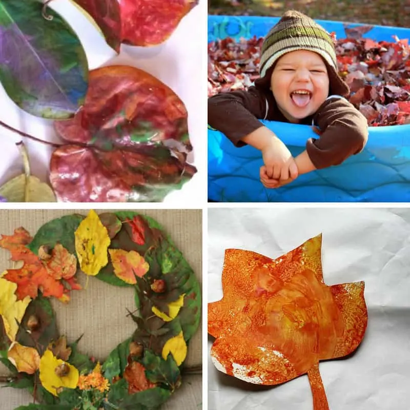 leaf crafts and activities for toddlers image 1
