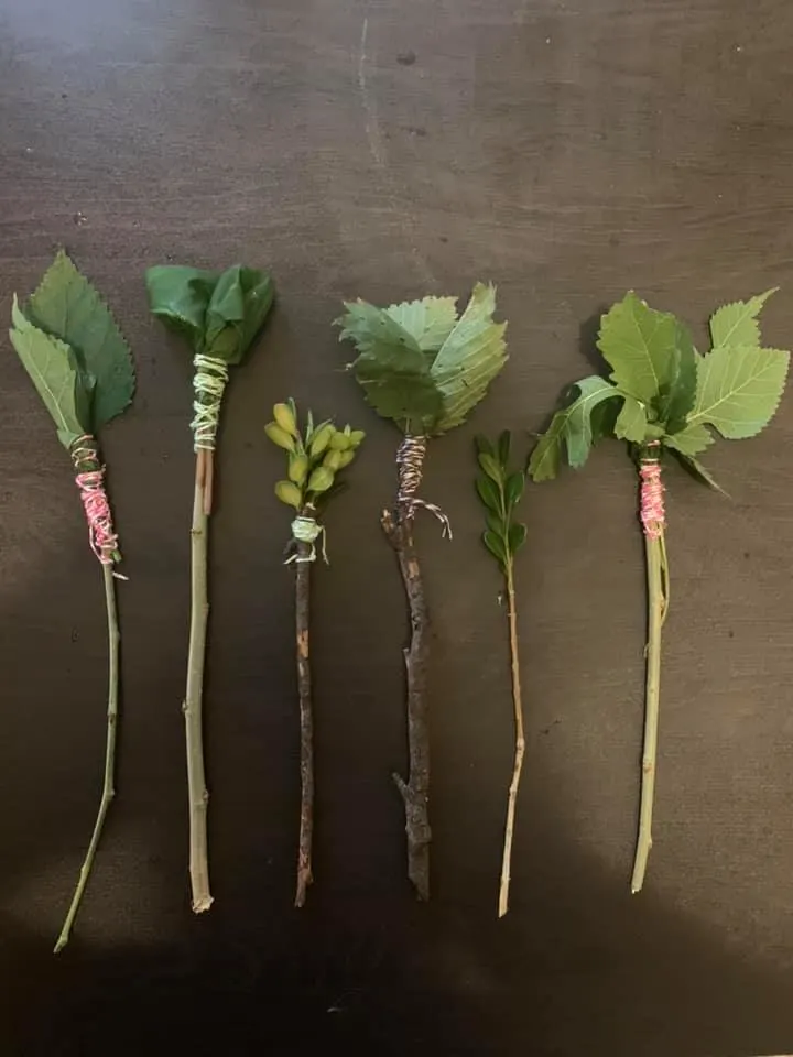 Make leaf paint brushes