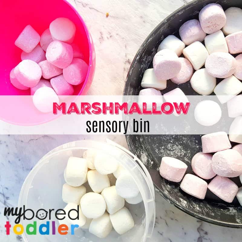 marshmallow sensory bin feature