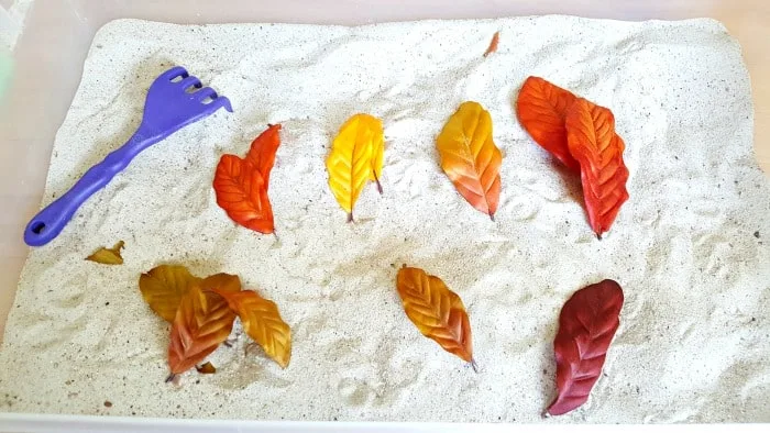 Count and sort leaves in the sandbox fall activity