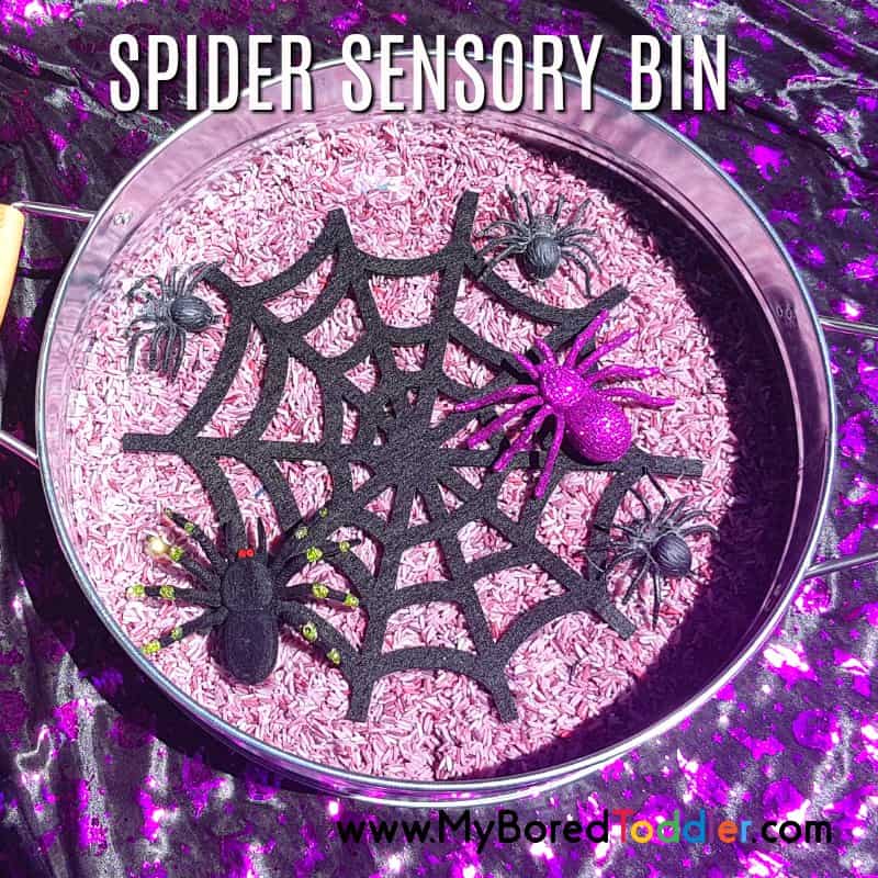 Halloween spider sensory rice bin feature image