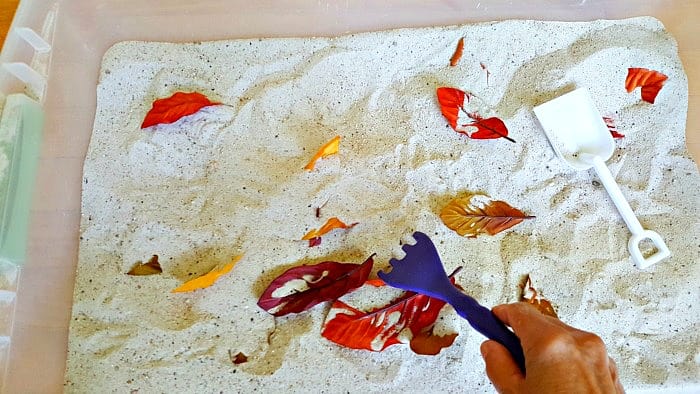 Raking leaves into a pile in the sandbox