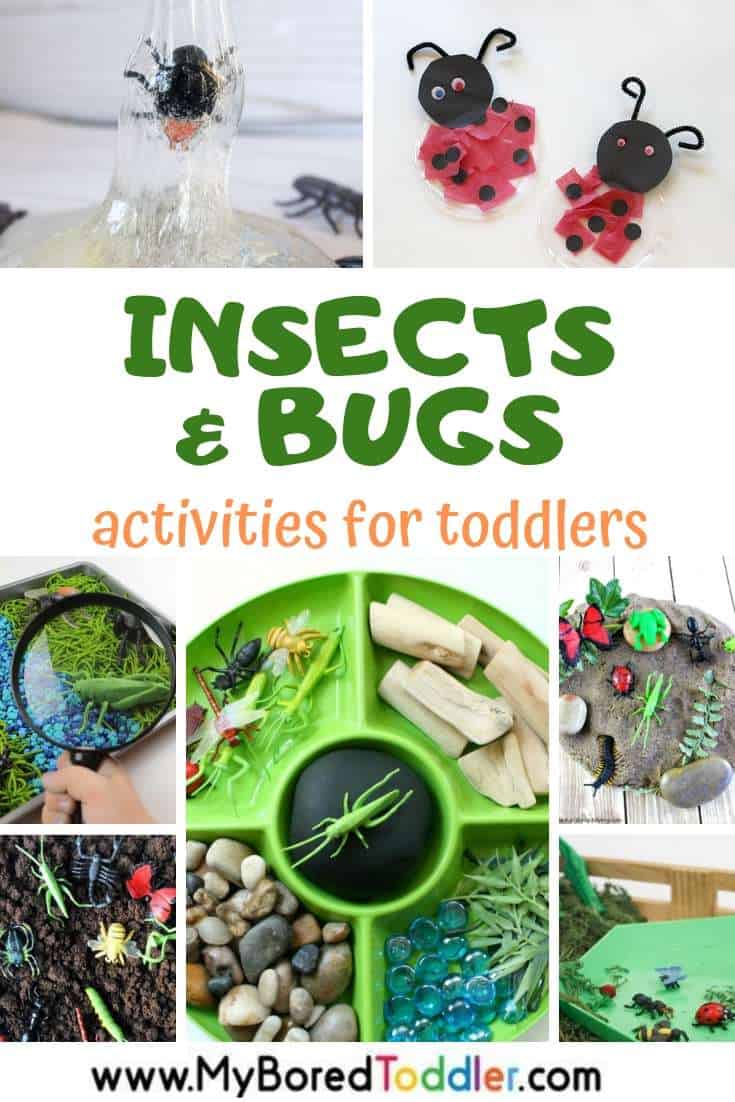 Backyard Bugs Book Sets