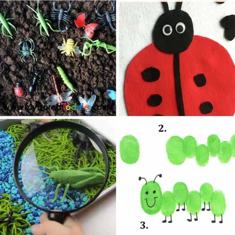 Insects and Bugs Activities for Toddlers