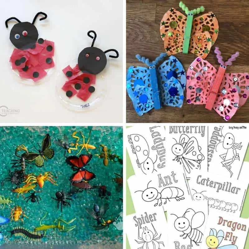 Insects and Bugs Activities for Toddlers