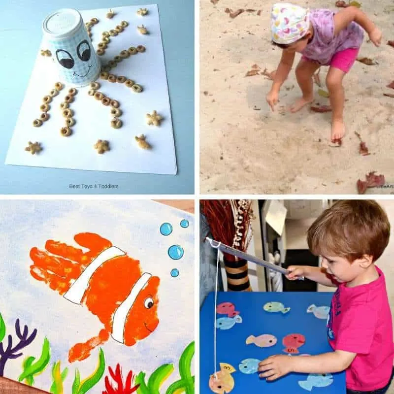 activities with sea and ocean animals